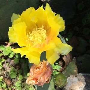 Meet your Posher, Kay